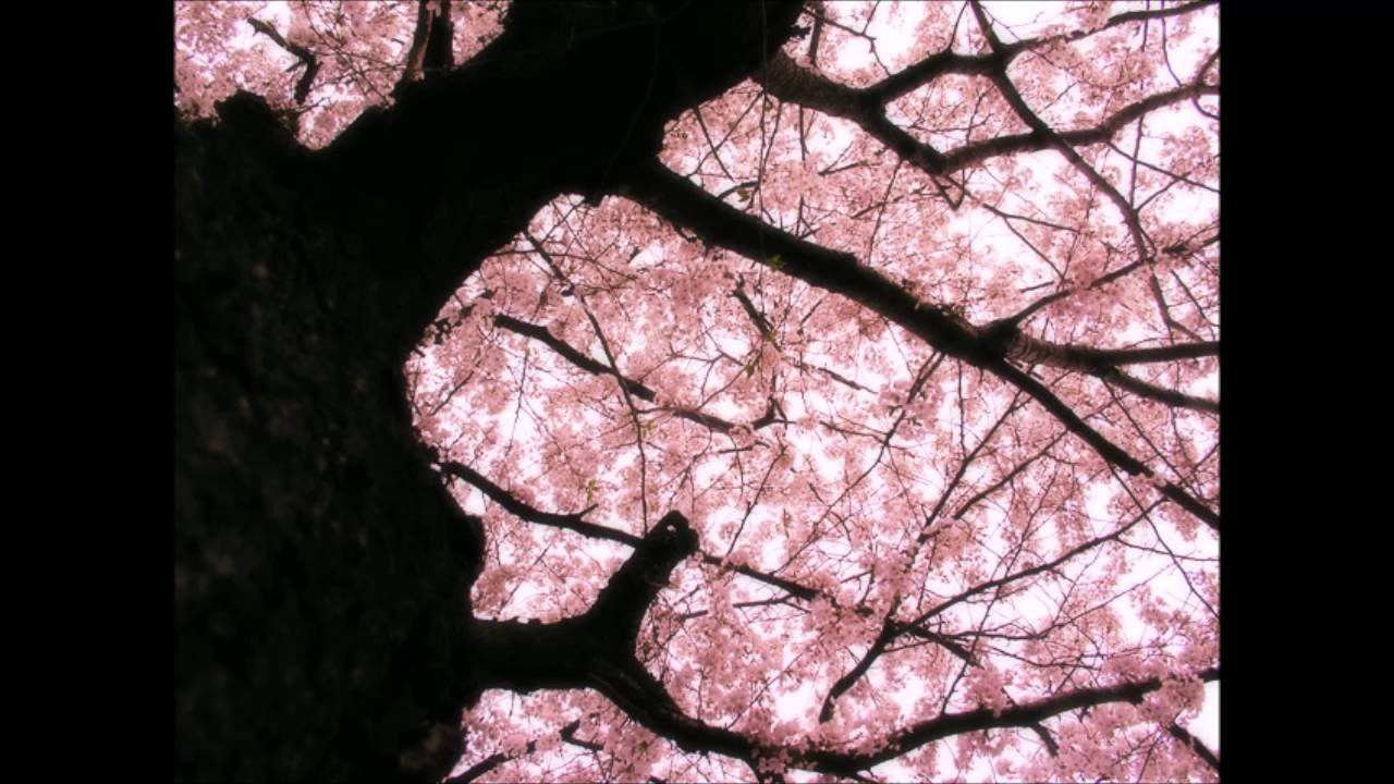 Alfred Reed: Fifth Symphony 