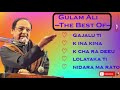 Gulam ali evergreen songs collection  audio  nostalgic nepal
