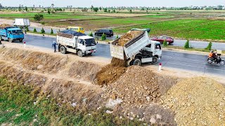 Just Start Open New Project Landfill up processing 5Ton dump truck with Bulldozer Pushing soil clear