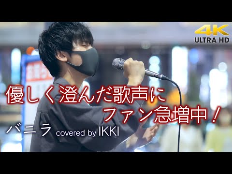 【 歌うま 】優しく澄んだ歌声にファン急増中！ 　バニラ / きゃない（cover）" IKKI （松村一輝） " 新宿路上ライブ 4K映像