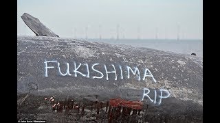 The Fukushima Dead or Dying oceans Gotcha question @ForbiddTV