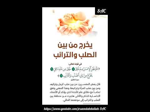 يخرج من بين الصلب والترائب