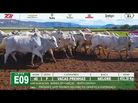 LOTE E09