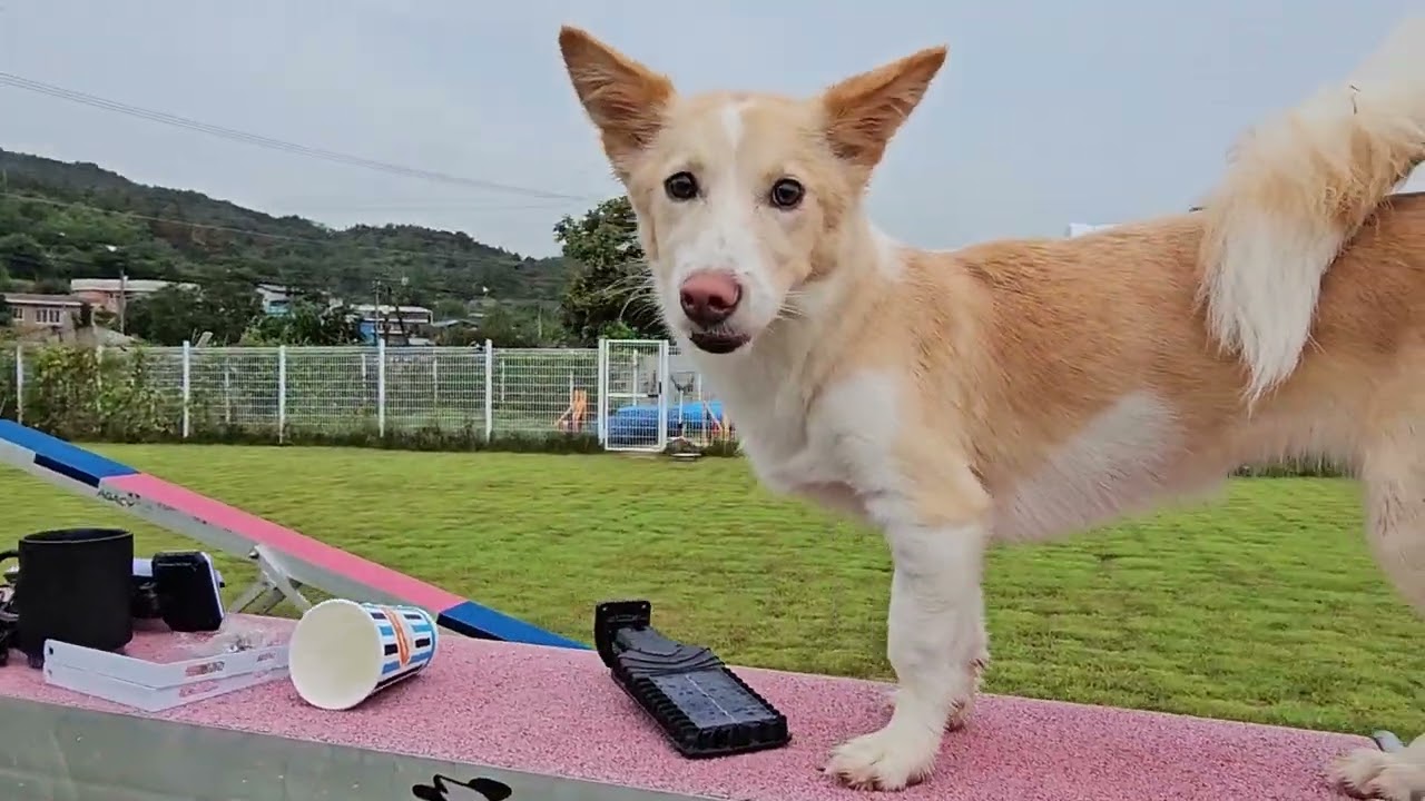 LDTC - 25년 9월 7일