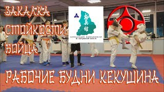 Тренировка стойкости бойца кекусинкай. Training resistance and endurance of Kyokushin.