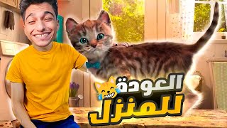 اخيرا وصلت للمنزل الي وقعت منو ... نهايه لعبه محاكي القطه #3 🐈‍⬛😍(رجعنا🐈) | little kitty big city