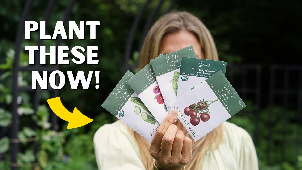 5 Seeds I Plant Every July