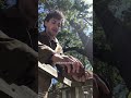 World Seed Control