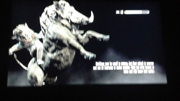 Messing around with skyrim part #1