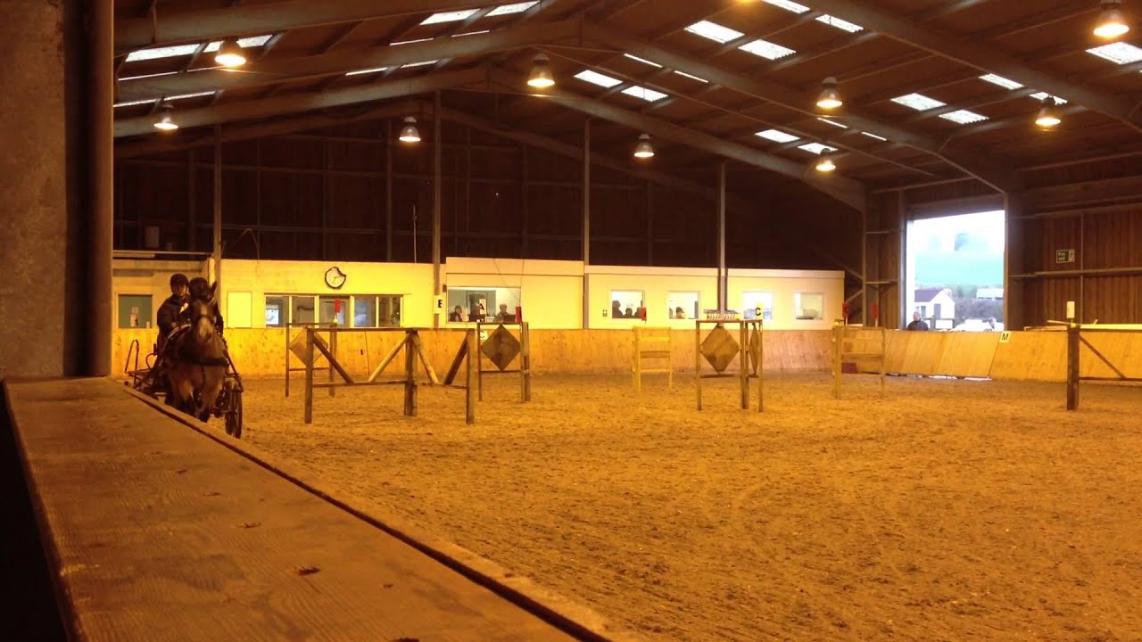 Indoor Driving Trials Sparsholt 6/1/13 Amber O'Neill