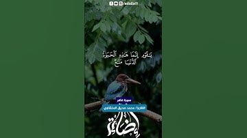 استمع بقلبك للشيخ المنشاوي  #اضاءة #اكسبلور #قرآن_كريم #تيك_توك #تلاوة_خاشعة