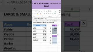 Excel LARGE &amp; SMALL Functions Explained in 60 Seconds! 🔥