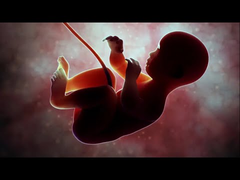 Ukuaji Wa Mtoto Tumboni Kwa Mjamzito Mwenye Mimba Ya Miezi Sita Ukuaji Wa Mtoto Tumboni Kwa Mjamzito Mwenye Mimba Ya Miezi Sita