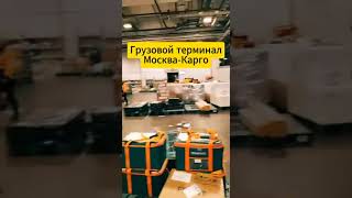 Груз 200 по почте. Всё для удобства россиян
