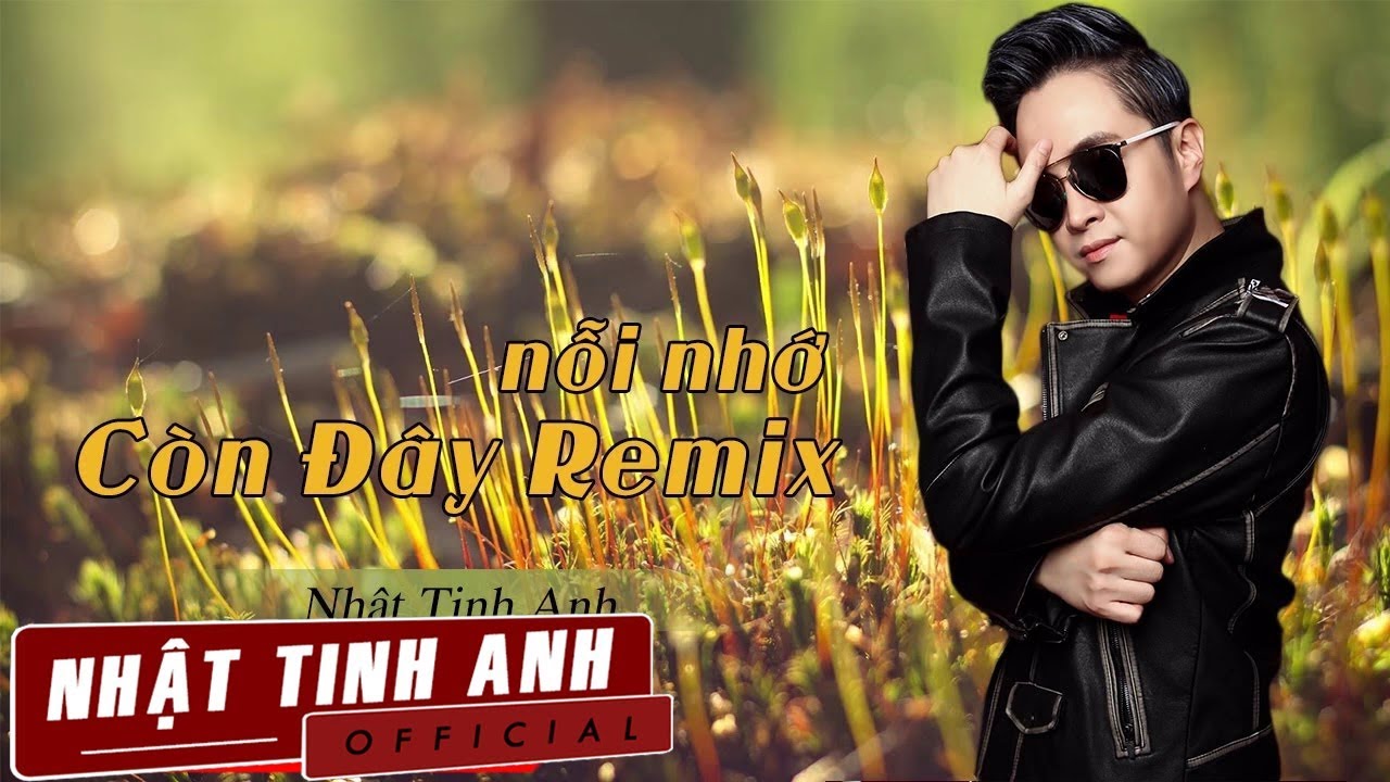 Nỗi Nhớ Còn Đây Remix - Nhật Tinh Anh