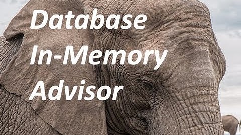 Database In-Memory Advisor