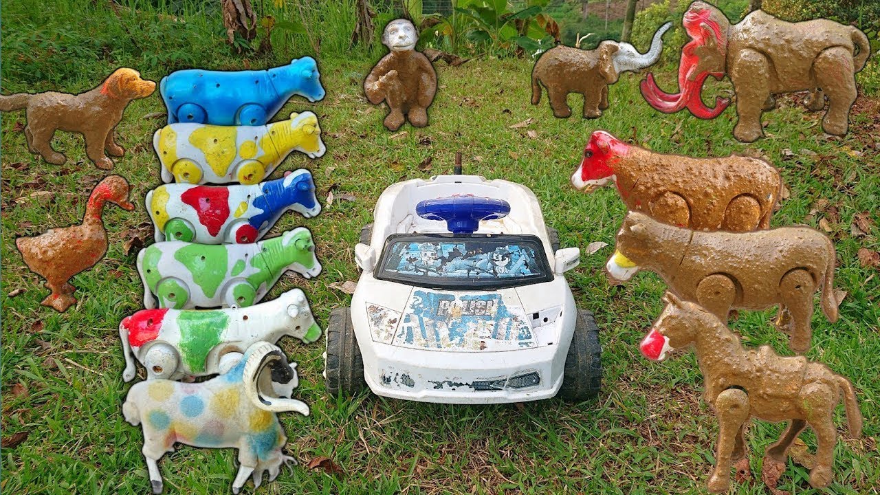 ВАДИДАУ‼️УДИВИТЕЛЬНАЯ КОРОВА‼️ ПОМОГАЕТ ЖЕРТВОВАТЬ КОРОВАМ И ЧИСТИТ БУЙВОЛОВ И УТОК