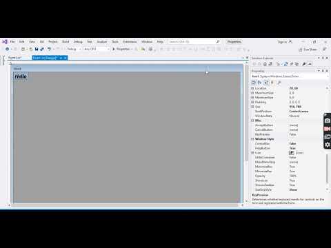 Form Properties (asp.net) Window