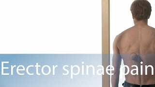 Erector spinae pain & trigger points - Self relief