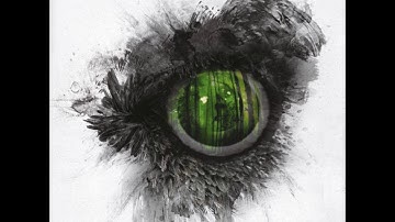SWALLOW THE SUN - Emerald Forest And The Blackbird (2012) (HD)