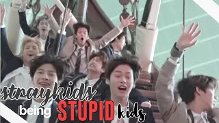 stray kids being stupid kids