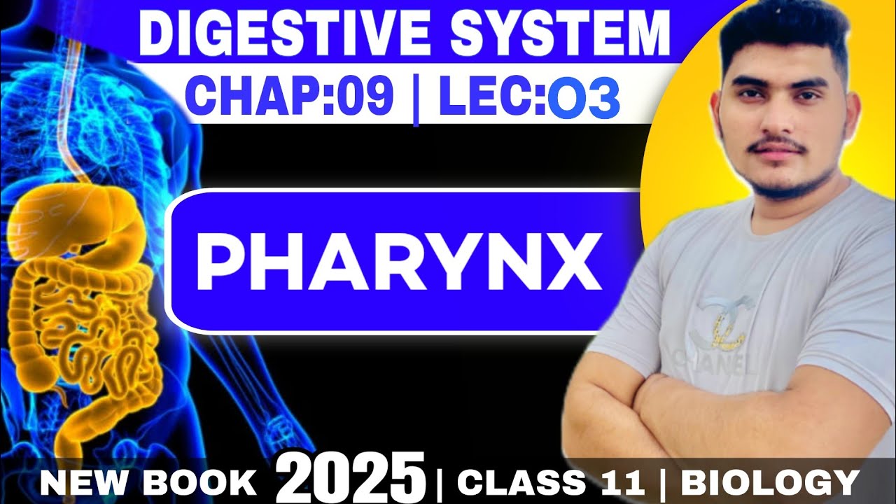 Pharynx | All about pharynx | Swallowing Class 11th biology new book 2025 