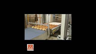 Marden s.r.l. Automatic Load/Unload System with Trolleys in Hungary.