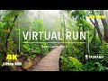 Virtual run 4k three capes part 1  virtual runnings  scenery tasmania