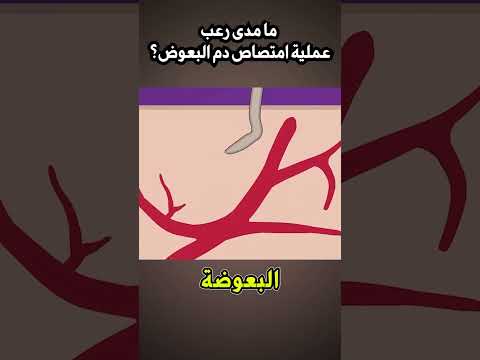 ما مدى فظاعة عملية امتصاص دم البعوض