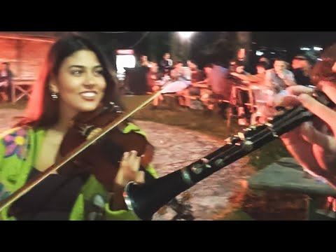 Γυφτόκαμπος 2019 |