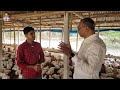 যুব প্রশিক্ষণ। #যুব_কথা #farm #প্রশিক্ষণ #youthtraining #short #viralshorts