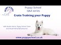 Puppy School Q&amp;A series - Crate Training your Puppy