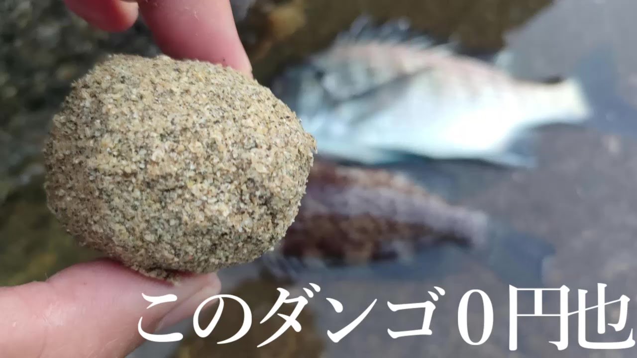 チヌ釣りに使うダンゴは０円ダンゴ　紀州で紀州釣り