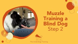 Muzzle Training Step 2 Muzzle Training Step 2