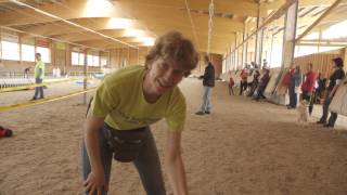 Finnlay's first Agility Competition