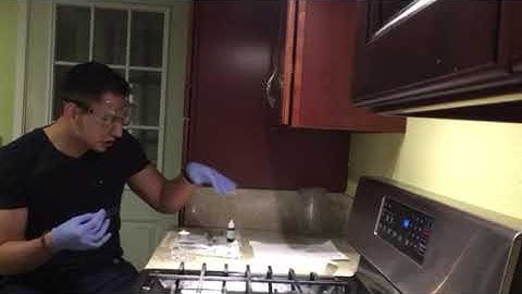 Lap exercise / bacterial morphology and staining techniques part 1