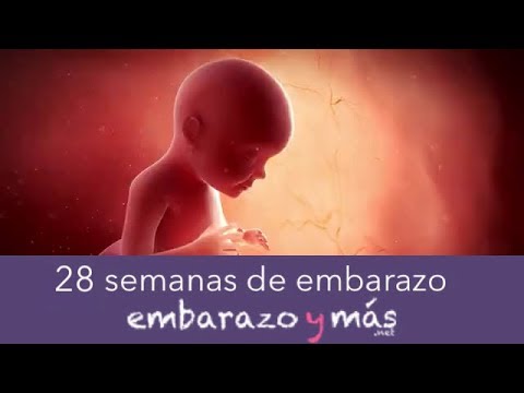 Semana 32 de embarazo síntomas en la madre