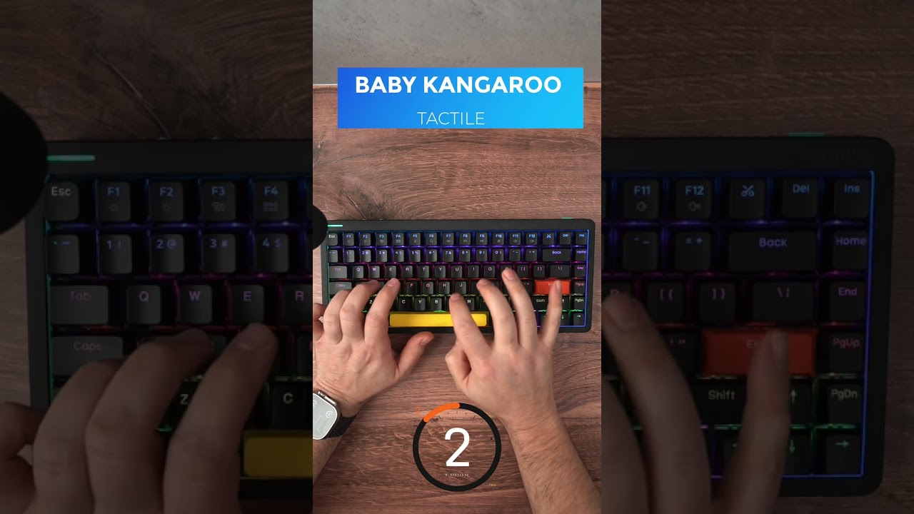 Nuphy Halo96 Sound Test: 🔊 Baby Kangaroo vs Night Breeze #shorts