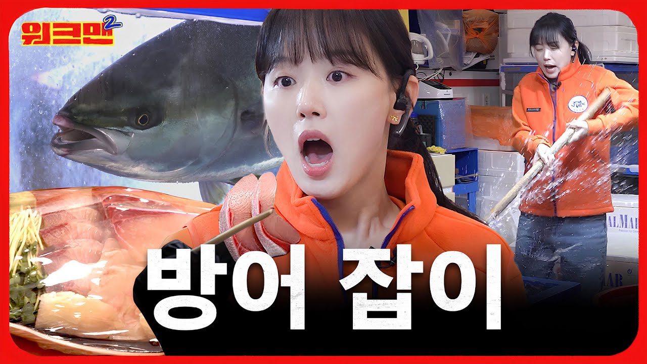 겨울 제철 대방어 사냥하고 왔습니다🦈😎 | 노량진 수산시장 | 강한나 | 워크맨2