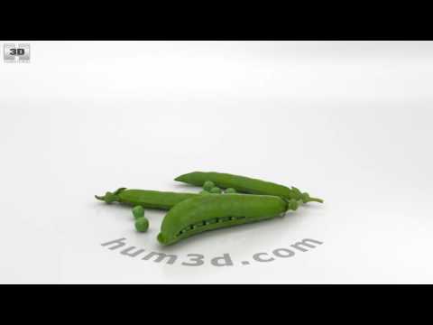 Peas 3D model by 3DModels.org