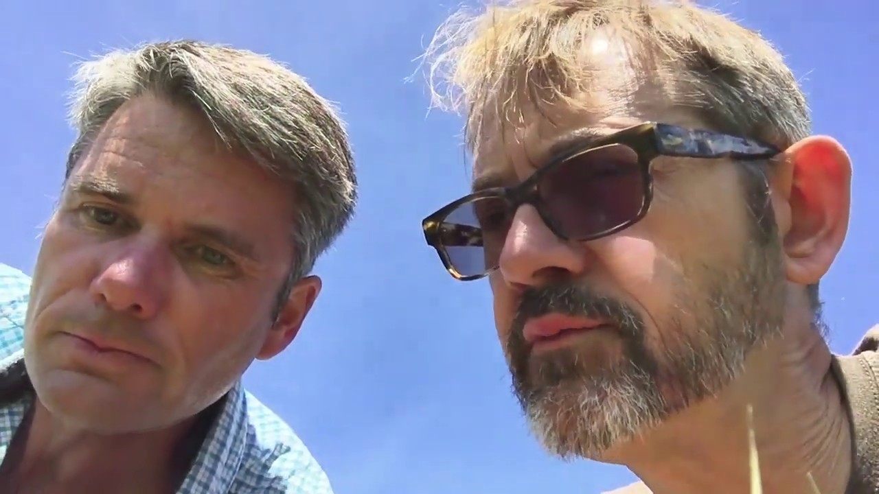 Episode 4 - The Grizzled Skipper (Pyrgus malvae)