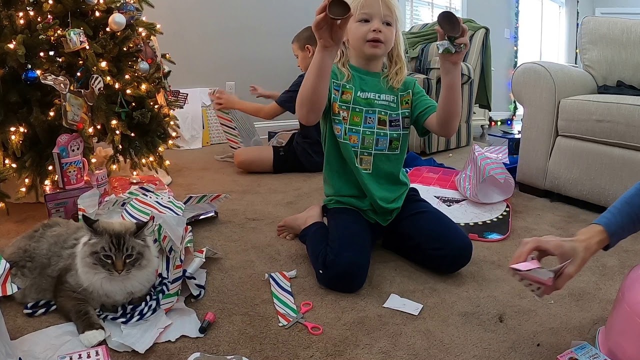 Christmas at Home in Lewes Lewes, DE 12/27/19 YouTube