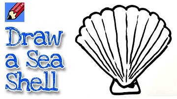 How to draw a Sea Shell  | Step by Step with Easy, Spoken Instructions