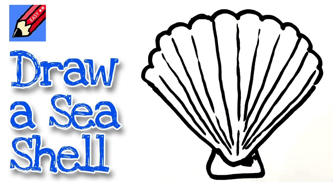 How to draw a Sea Shell  Step by Step with Easy, Spoken