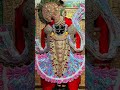 #dev #dwarika #krishna #love #virdavan #radheshyam #radheradhe #radheshyam #motivational#viral#reels