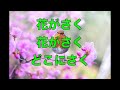 童謡:春が来た【昭和名曲/歌詞あり】