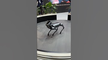 Insane AI Robotic Dog! TECNO Dynamic 1