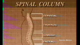 News Report on Christopher Reeve Horse Accident (June 1, 1995)