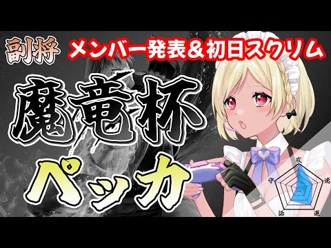 【SF6】#魔竜杯 スクリム！！！【Vtuber】