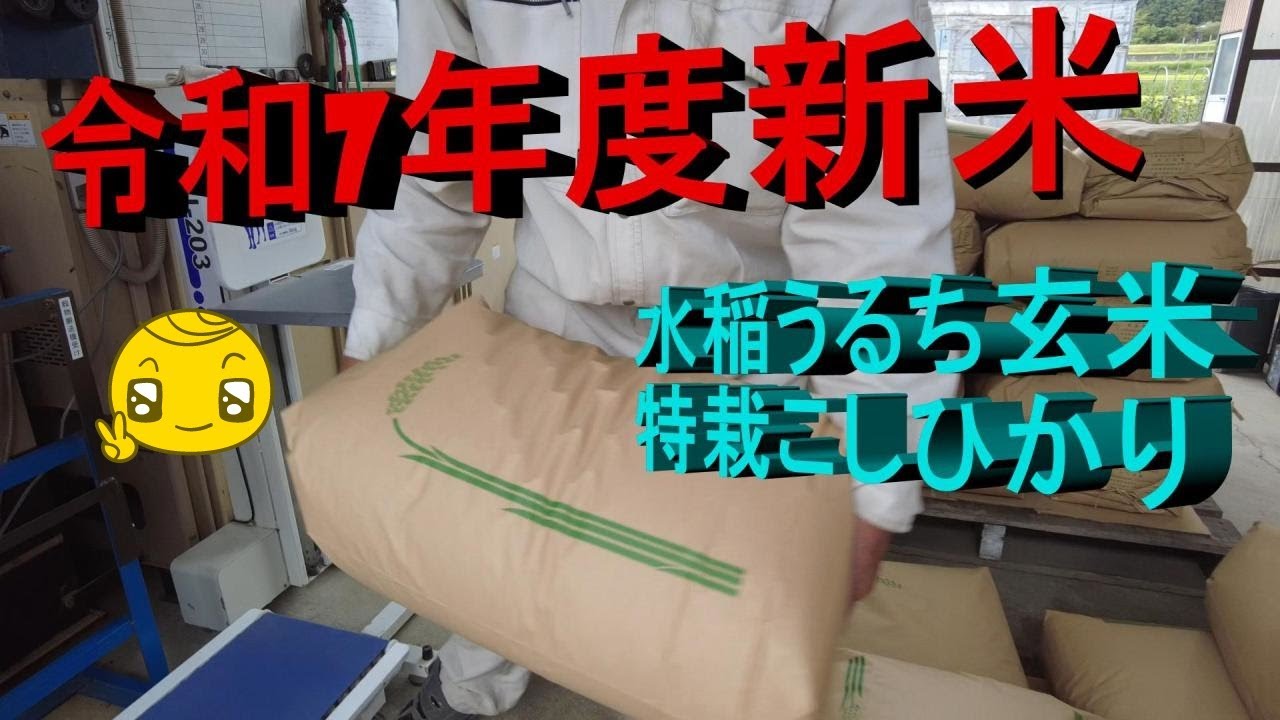 令和7年度 水稲うるち玄米 こしひかり籾摺り 胴割れ対策 少し変えてみたが